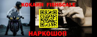 стафф Кингисепп