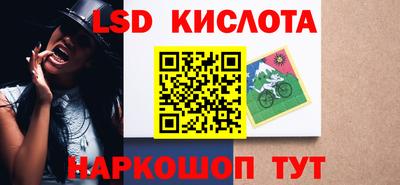 стафф Кингисепп