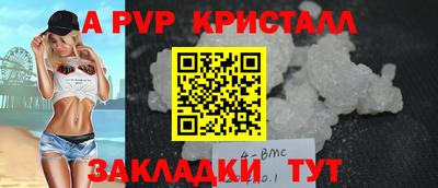 стафф Кингисепп