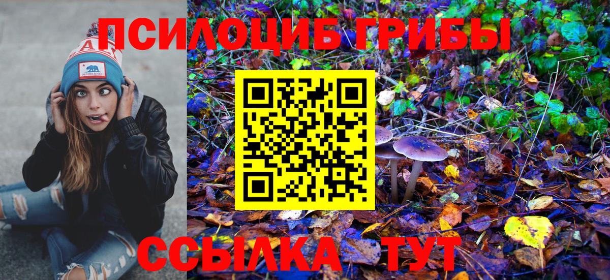 Ливны  Псилоцибиновые грибы Magic Shrooms  Вход с VPN 