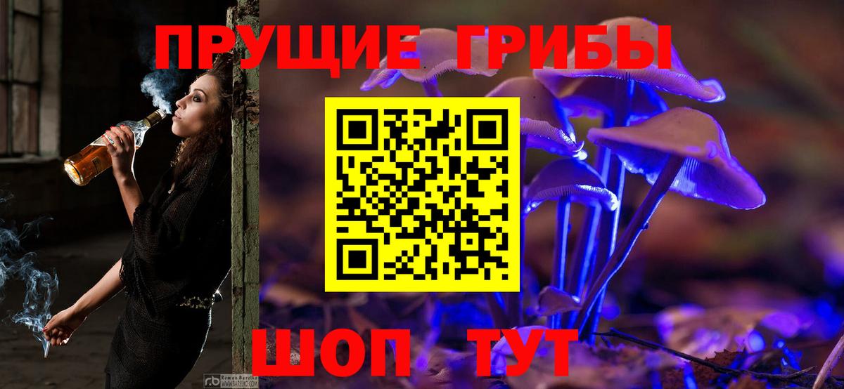 Галлюциногенные грибы Psilocybe Ливны